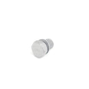 Oil Drain Plug - N90813201